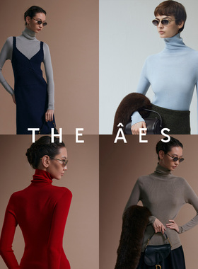 安上THE AES｜无缝一体古典多色 摩登从容高领羊毛打底万搭针织衫