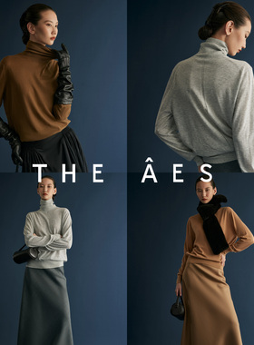 安上THE AES｜奢美老钱ROW经典精纺羊绒18针无缝宽松高领打底王