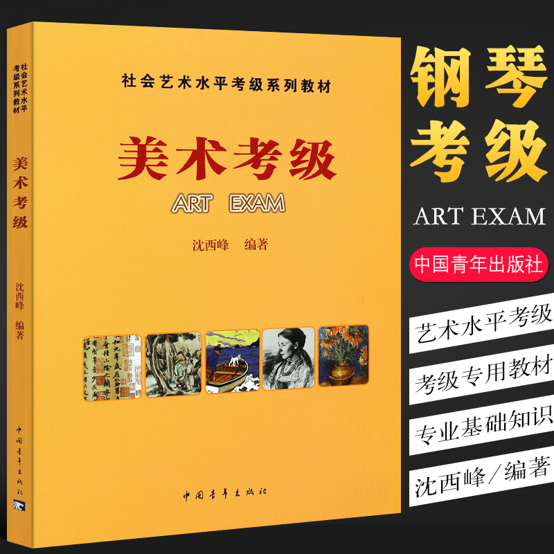 正版美术考级社会艺术水平考级系列教材中国青年出版社沈西峰全国美术艺术考级专用教材书籍美术考级所有专业基础知识考级指南