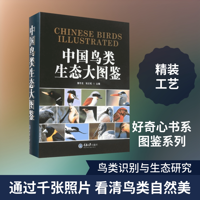 中国鸟类生态大图鉴 重庆大学出版社 郭冬生,张正旺 主编 著 文轩书籍