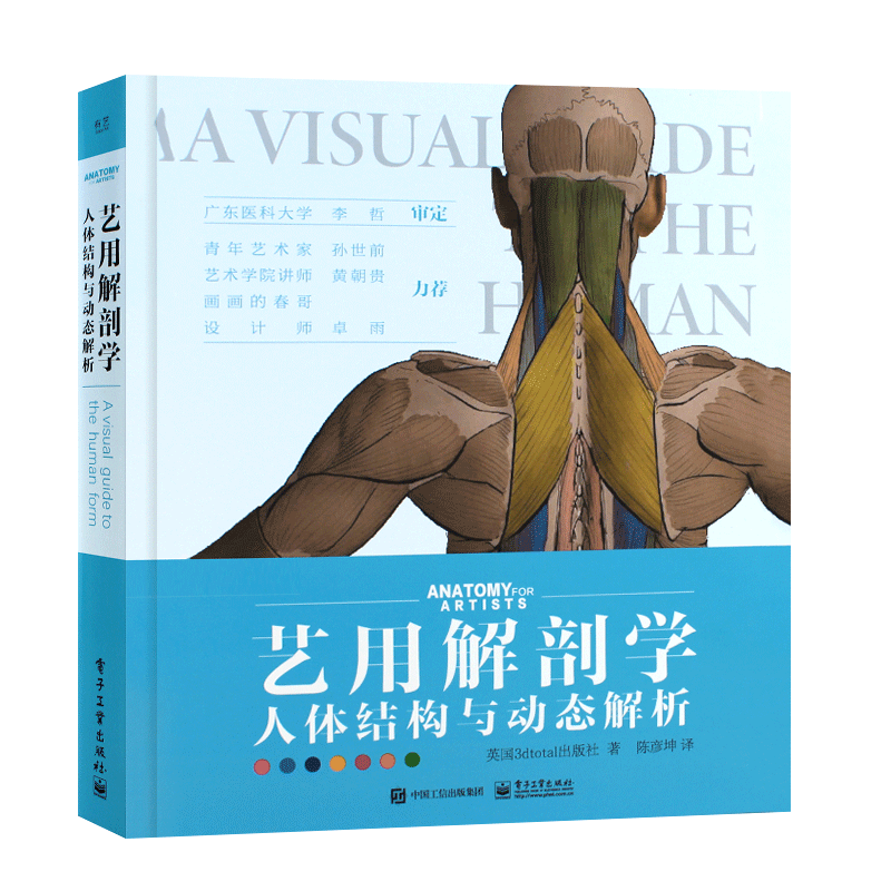 艺用解剖学人体结构与动态解析