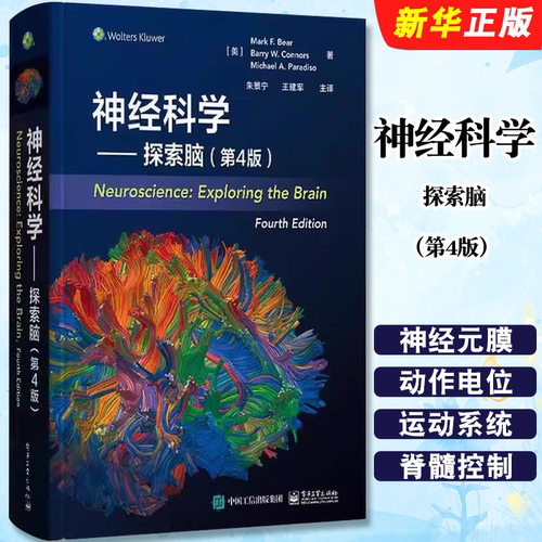 正版神经科学 探索脑 第4版 中文版 感觉和运动系统 朱景宁 王建军主译 精装 电子工业出版社 人体经解剖学图解指南教材教程书