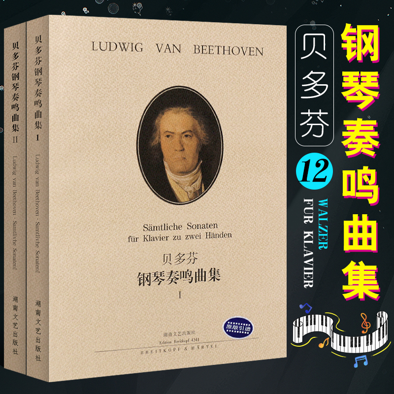 【原版引进】全套2册 正版贝多芬钢琴奏鸣曲集12 贝多芬钢琴基础练习曲全集教材教程书 湖南文艺社 钢琴曲谱曲集 钢琴奏鸣曲书籍