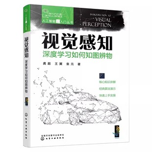 视觉感知 化学工业 深度学习如何知图辨物 神经网络图像识别机器学习 ChatGPT聊天机器人计算机视觉教程 人工智能超入门丛书 正版