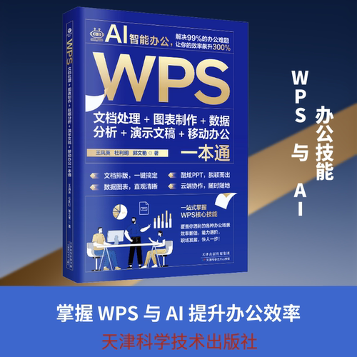 WPS文档处理 + 图表制作 + 数据分