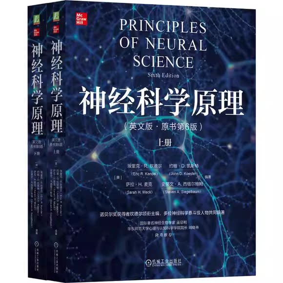 正版神经科学原理 英文版原书 第6版 机械工业出版社 埃里克R坎德尔 神经科学原理心理学阅读基础教材教程书籍