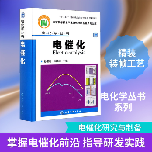 电化学丛书--电催化