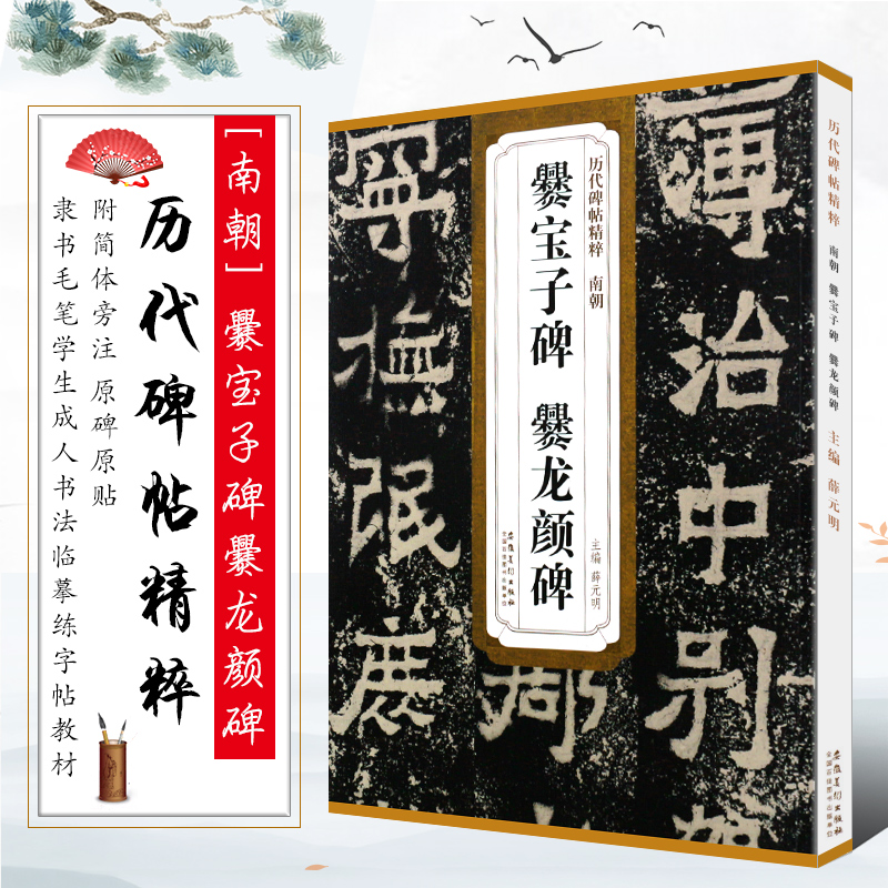 正版南朝爨宝子碑爨龙颜碑 历代碑帖精粹 附简体旁注 技法解析 隶书毛笔书法临摹练字帖教材 安徽美术 学生成人古帖隶书字帖教程书
