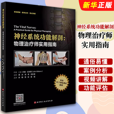 神经系统功能解剖物理治