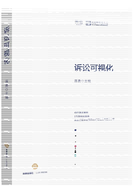 诉讼可视化蒋勇法律出版社