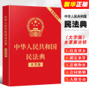 中华人民共和国民法典 大字版 含草案说明32开大字条旨红皮烫金 含总则物权合同婚姻人格劳动法公司法书籍 正版 中国法制出版 社