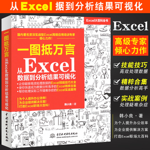 excel图表Excel数据分析透视表 水利水电社 计算机办公软件自动化office教程书籍 一图抵万言从Excel数据到分析结果可视化 正版
