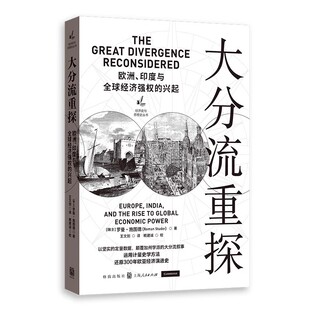 罗曼 经济史与思想史书籍 欧洲印度与全球经济强权 赖建诚 王文剑 施图德 社 上海人民出版 兴起 大分流重探 正版