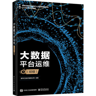正版大数据平台运维 初级 1+X职业技能等级证书配套 大数据计算机类相关专业教材书 数据分析书籍 电子工业 数据库系统原理教程书