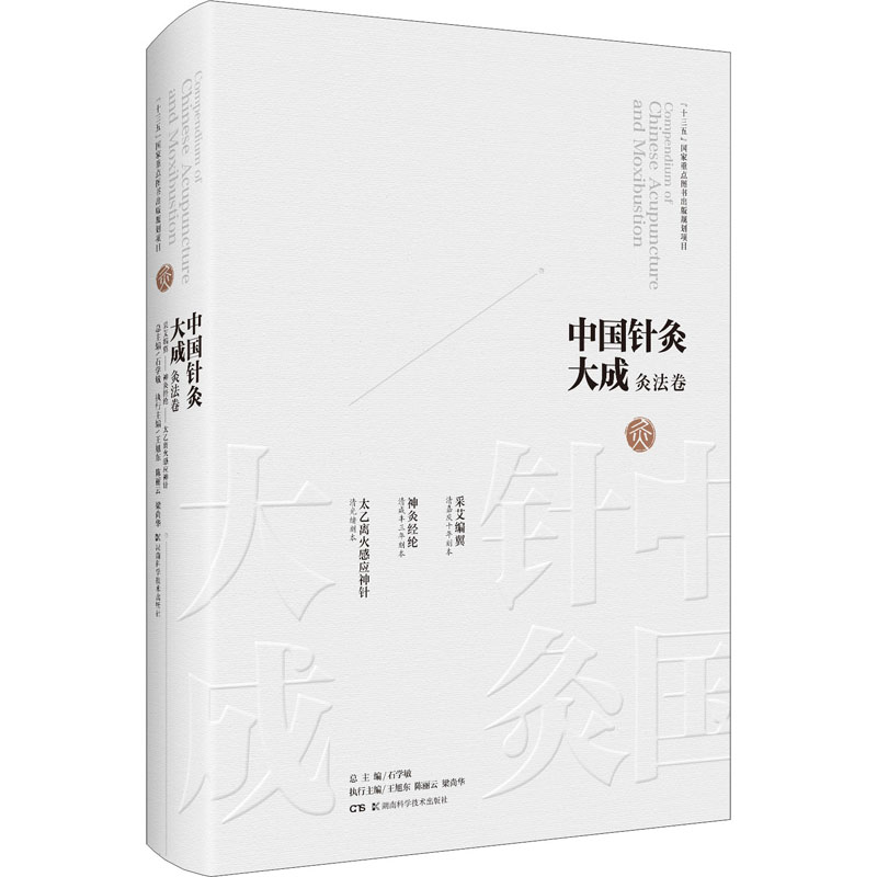 中国针灸大成 灸法卷 采艾编翼 神灸经纶 太乙离火感应神针 湖南科学技术出版社 石学敏,王旭东,陈丽云 等 编 文轩书籍
