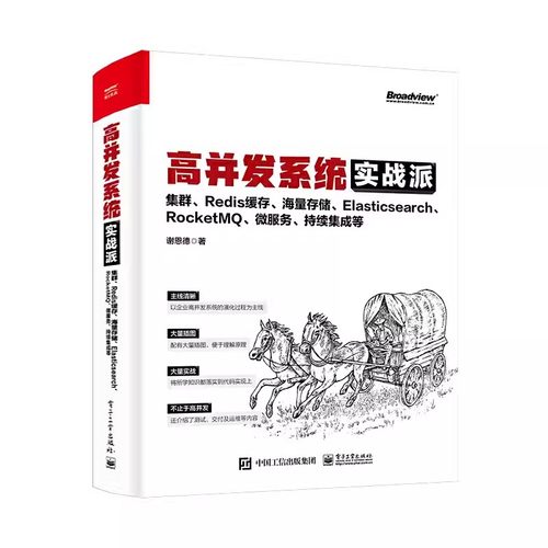 正版高并发系统实战派 集群 Redis缓存 谢恩德 电子工业出版社 存储 Elasticsearch RocketMQ 微服务 持续集成等教材教程书籍