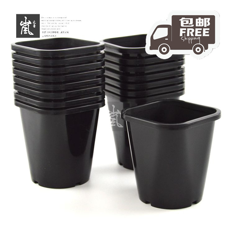 套餐丨酢浆草盆11.2cm多肉黑白色