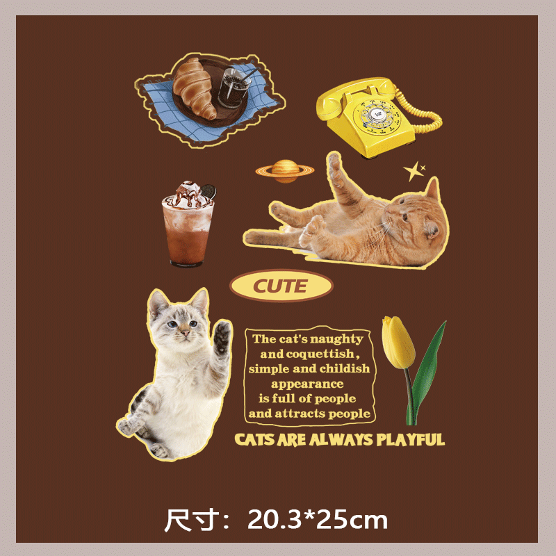 猫咪花朵蛋糕咖啡INS服装