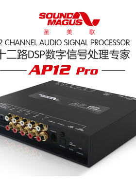 圣美歌AP12 PRO 31段车载DSP音频处理器 8进12出 12通道