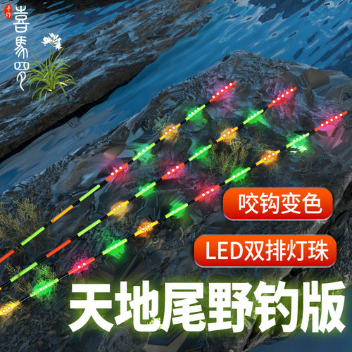 LED天地尾野钓版专用夜光鱼漂