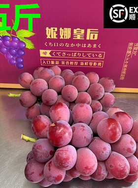 应季现摘妮娜皇后无核提子甜葡萄