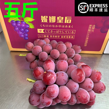 果园现摘顺丰妮娜皇后整串发女皇葡萄红提纯甜无酸无核酒香甜云南