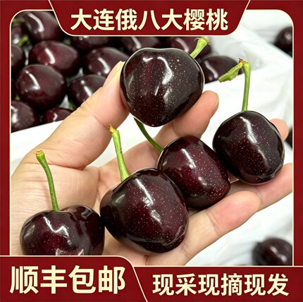 当天发8J俄罗斯八号俄八大樱桃车厘子正宗现摘脆甜送礼孕妇顺丰