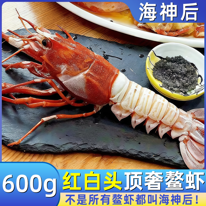 海神后海鳌虾金丝猴刺身虾天花板