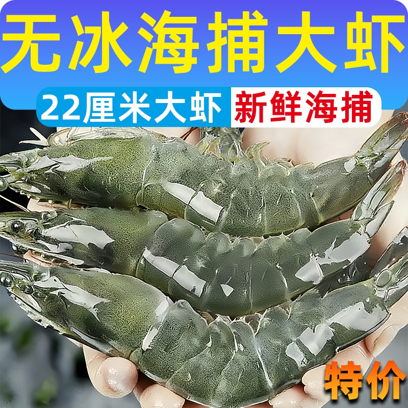 盐冻大虾鲜活速冻青岛大虾海捕