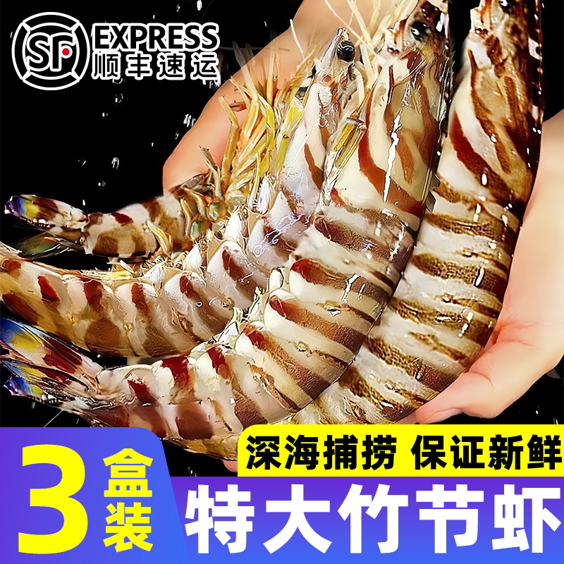 新鲜斑节虾特大竹节虾野生九节虾