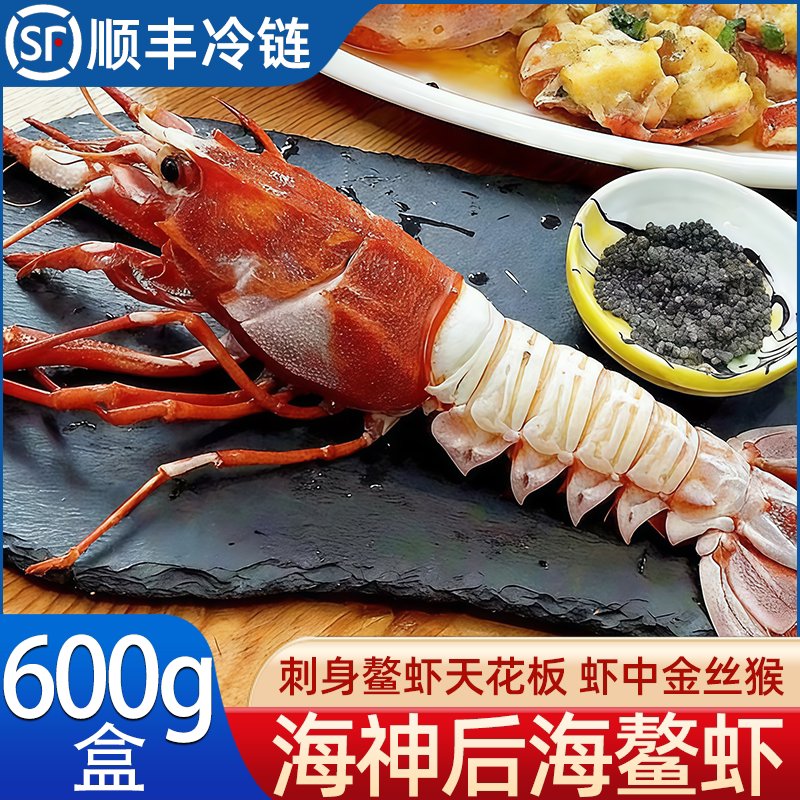 海神后海鳌虾虾中金丝猴顶奢鳌虾刺身虾天花板深海鳌虾蓝线红白头
