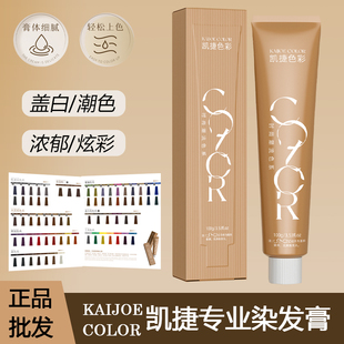 凯捷染发膏色彩专业盖白发潮色多段发无味单支染膏理发店专用批发