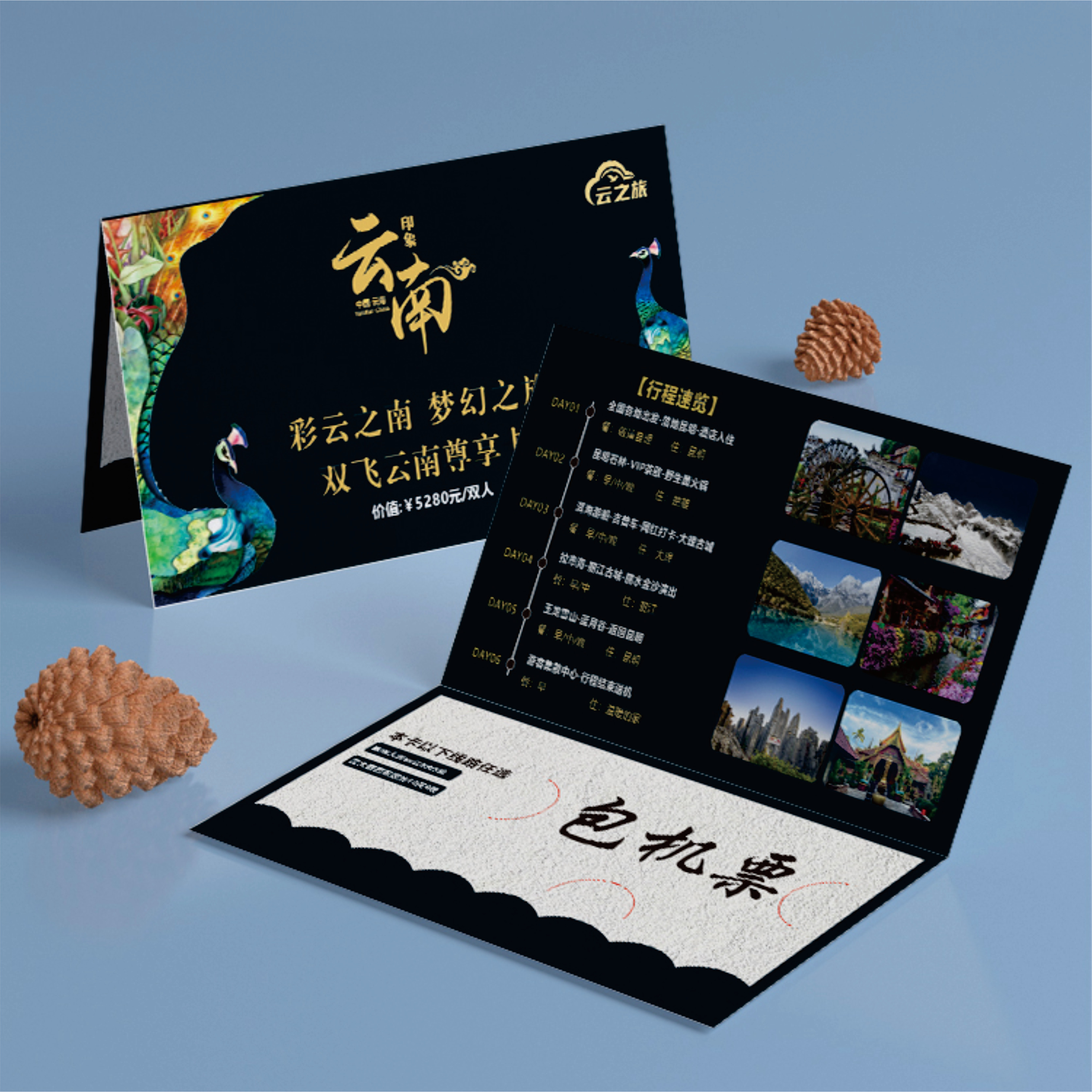 云南双飞旅游票旅游卡活动引流促销神器云南贵宾卡畅游卡包机票,节庆用品/礼品,天气瓶/风暴瓶,淘宝优惠券,粉丝福利购,淘宝优惠卷