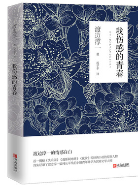 【青岛出版社官方直发】我伤感的青春 逐一揭秘失乐园 化妆等小说