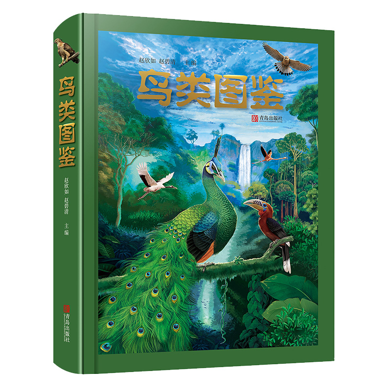 在天空不留痕迹的鸟儿，在这里留下靓影！