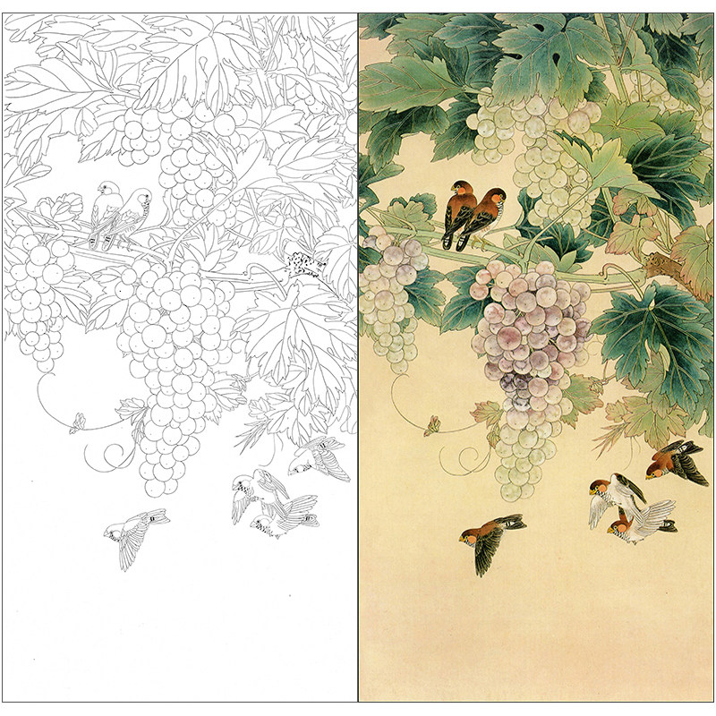 TP344喻继高工笔画葡萄白描底稿国画花鸟素材临摹练习线描打印稿