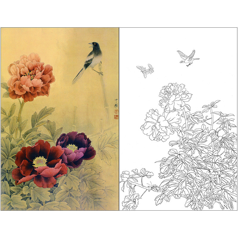 tp399周中耀工笔画牡丹白描底稿国画花鸟素材临摹稿实物打印稿