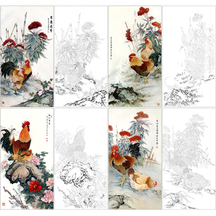 陈军工笔画公鸡白描底稿4幅国画花鸟临摹线稿图样实物打印底稿