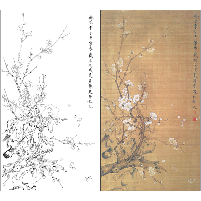 TP364工笔画梅花临摹画稿白描底稿国画花鸟画四尺六尺线描打印稿