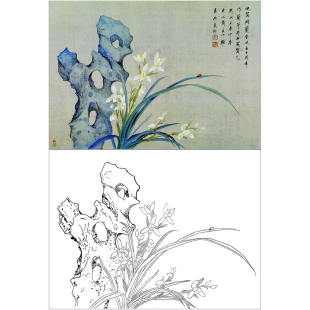 XP25工笔画兰花小品白描底稿国画花鸟小品图样临摹线描画稿打印稿