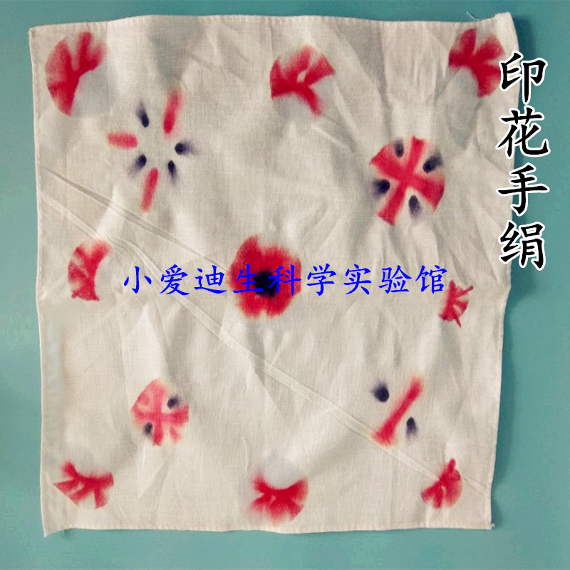 手工幼儿益智玩具印花科技小制作