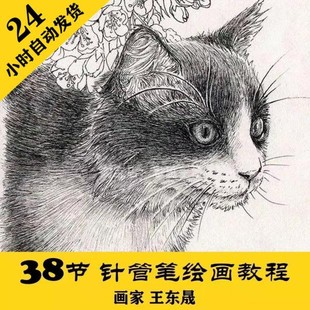 38节中文视频教程 针管笔绘画课程 零基础插画资料 王东晟 C039