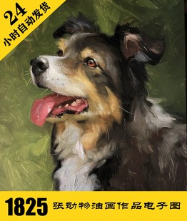 持续更 画室丙烯画临摹素材 O004 动物人物头像油画电子图1825张