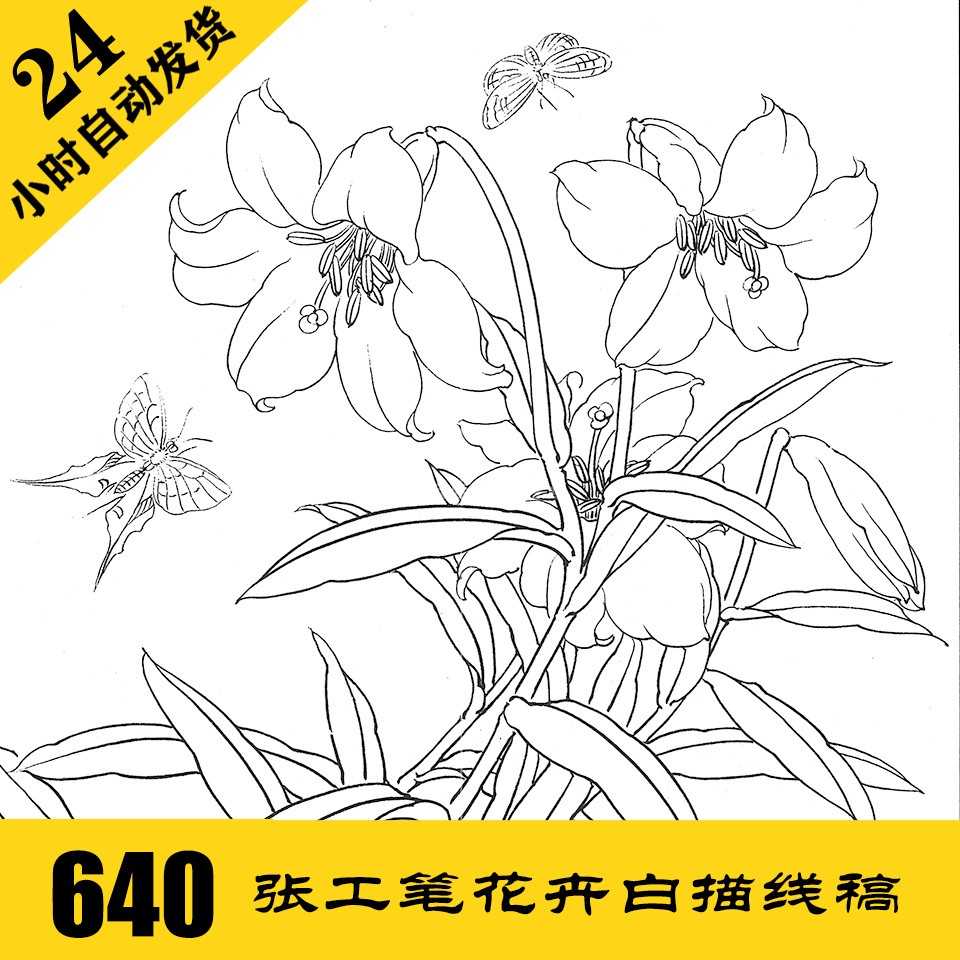 花卉工笔白描线描电子图640张