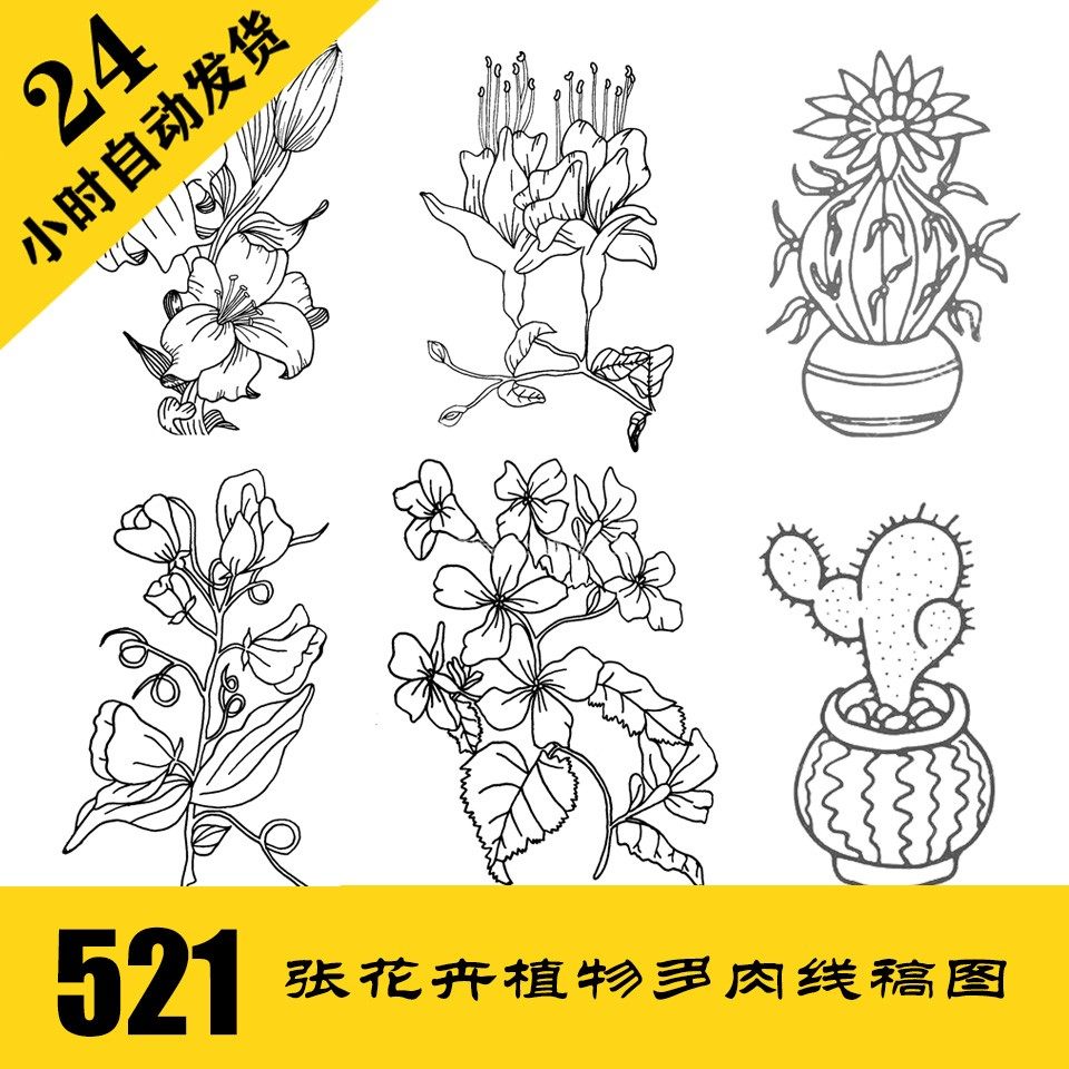 C063 花卉植物多肉线稿 针管笔简笔画电子图521张 24小时自动发货,商务/设计服务,设计素材/源文件,淘宝优惠券,粉丝福利购,淘宝优惠卷