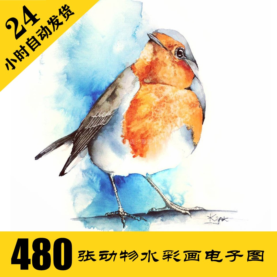 鸟类水彩画动物手绘临摹素材