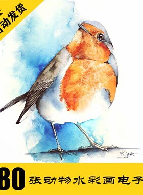W060 鸟类水彩画 动物手绘电子图480张 送短视频 临摹素材持续更