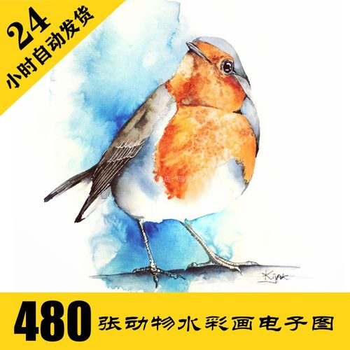 鸟类水彩画动物手绘临摹素材
