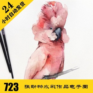 鳥類魚類手繪臨摹素材 持續(xù)更 動(dòng)物水彩畫電子圖723張 W057