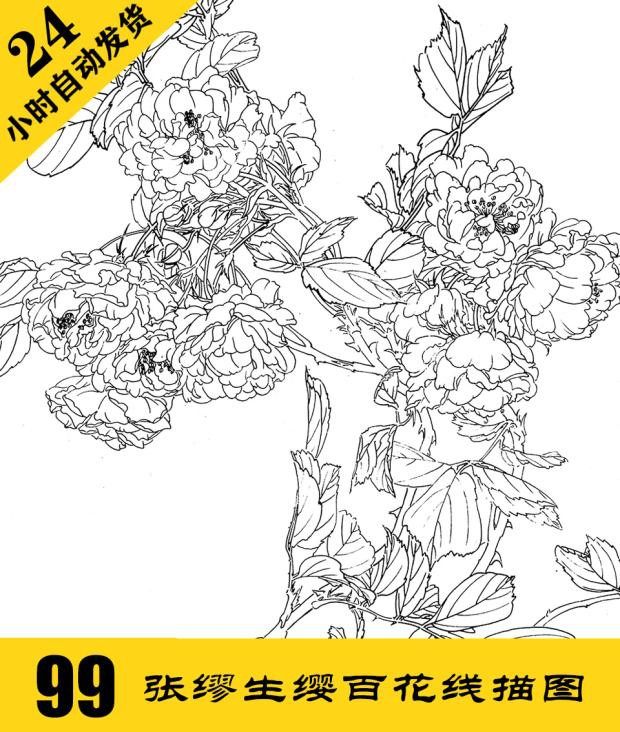g012 缪生缨百花线描图电子图99张 高清工笔白描 24小时自动发货